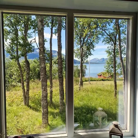 Gamtunet Lyngen *