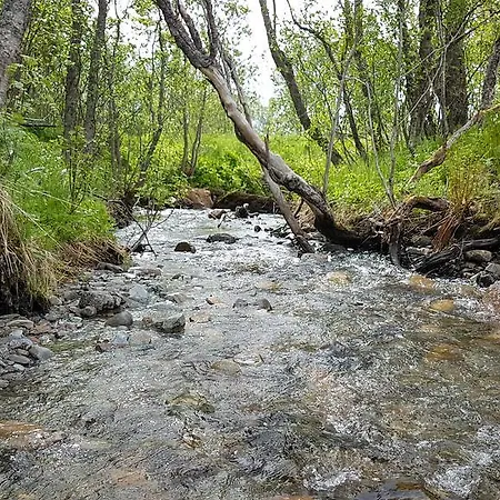 Сasa de vacaciones Gamtunet Lyngen