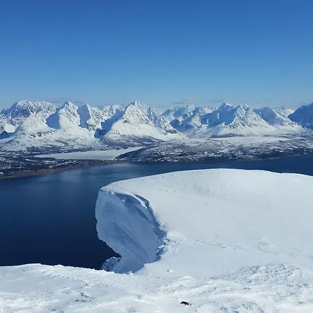 Gamtunet Lyngen