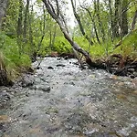 度假居 Gamtunet Lyngen